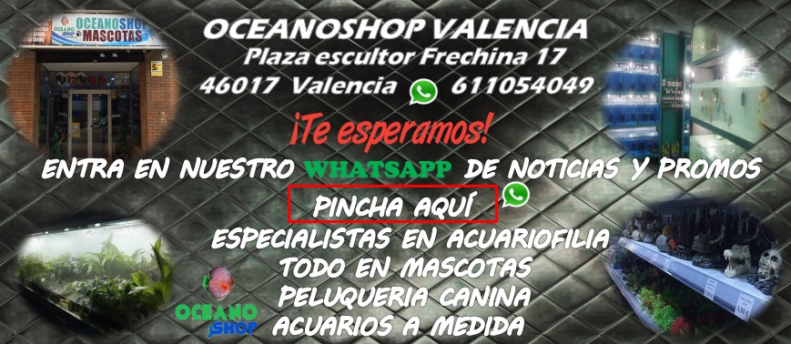 TIENDA OCEANOSHOP 